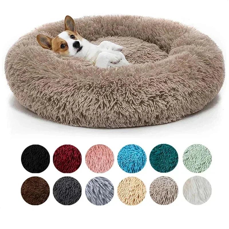 Dog Bed - whiskerwonderland