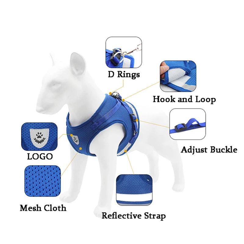 Dog Harness and Leash - whiskerwonderland