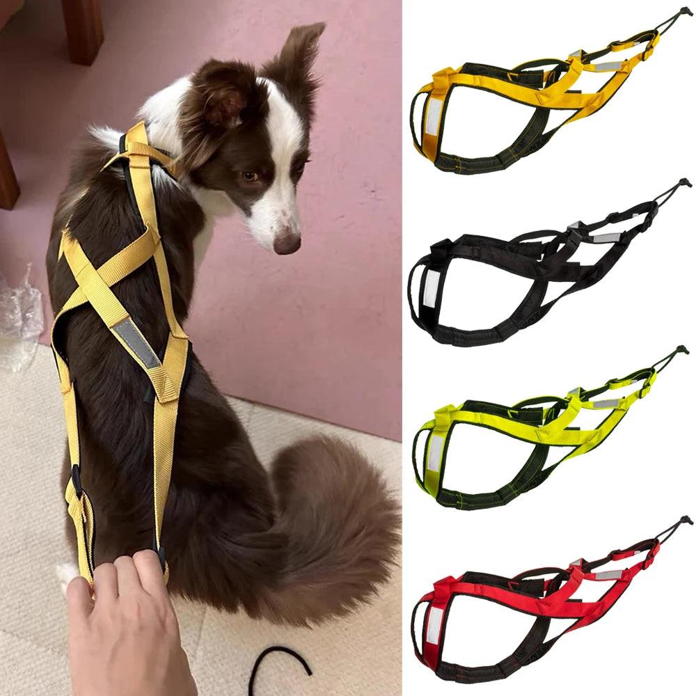 High Quality Big Dog Sledge Harness Skiing Running - whiskerwonderland