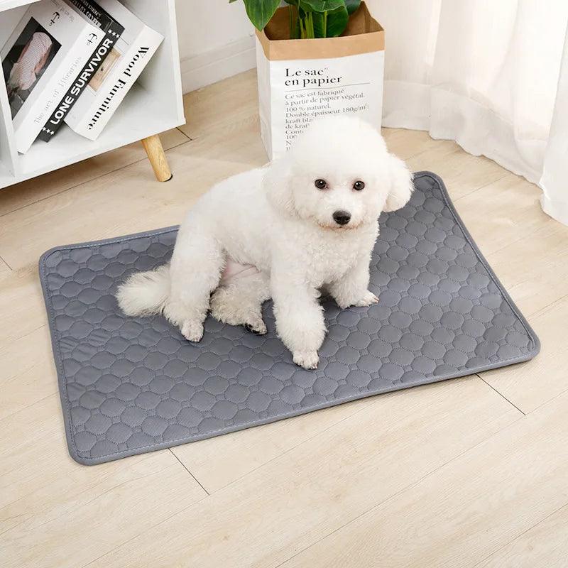 Dog Pee Pad Blanket Reusable Absorbent - whiskerwonderland