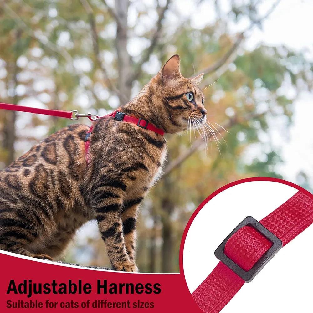 Cat Harness - whiskerwonderland