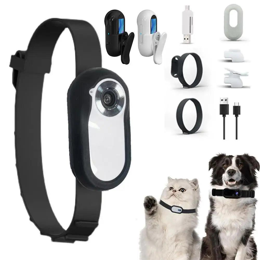 No WiFi Required Cat and Dog Collar Camera - whiskerwonderland