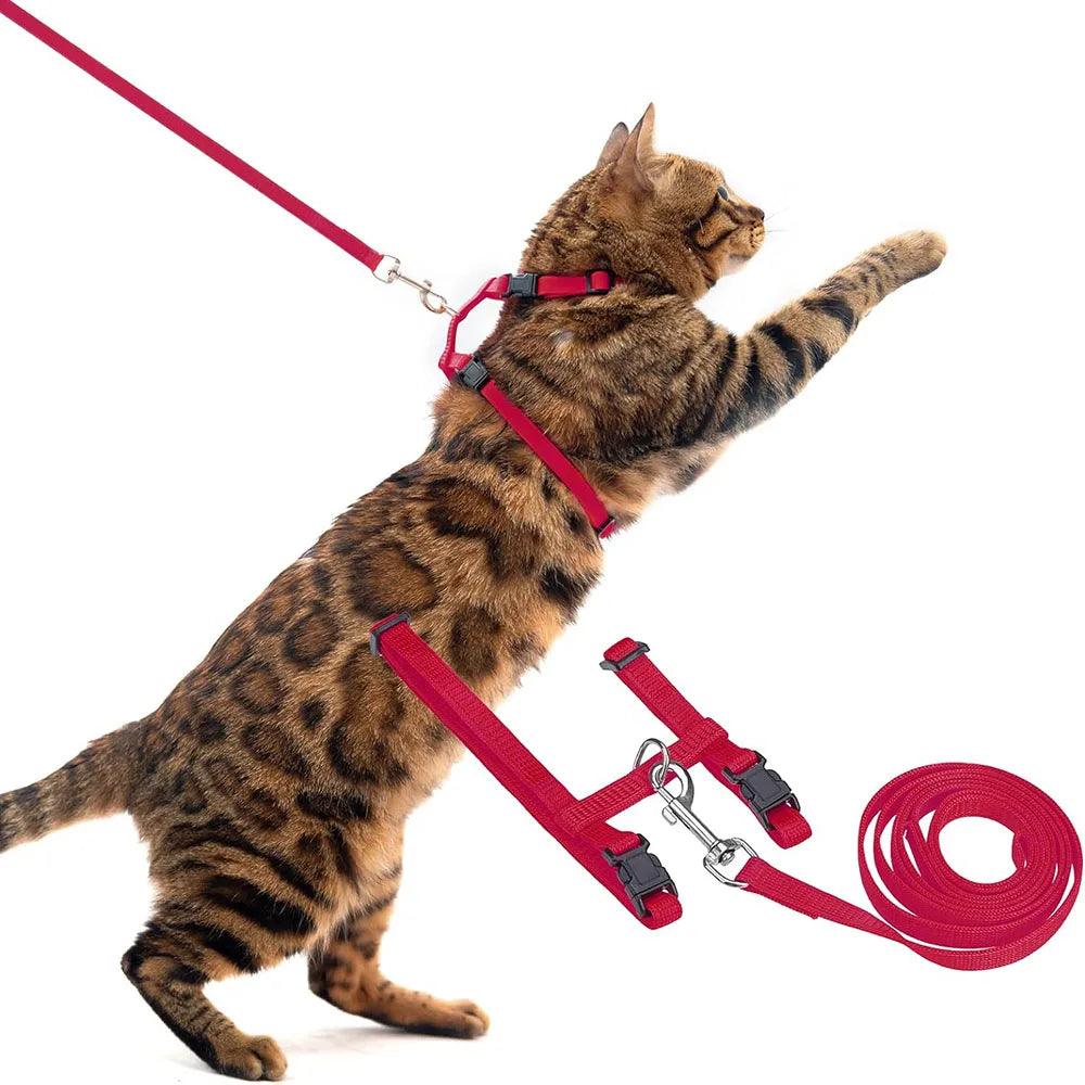 Cat Harness - whiskerwonderland