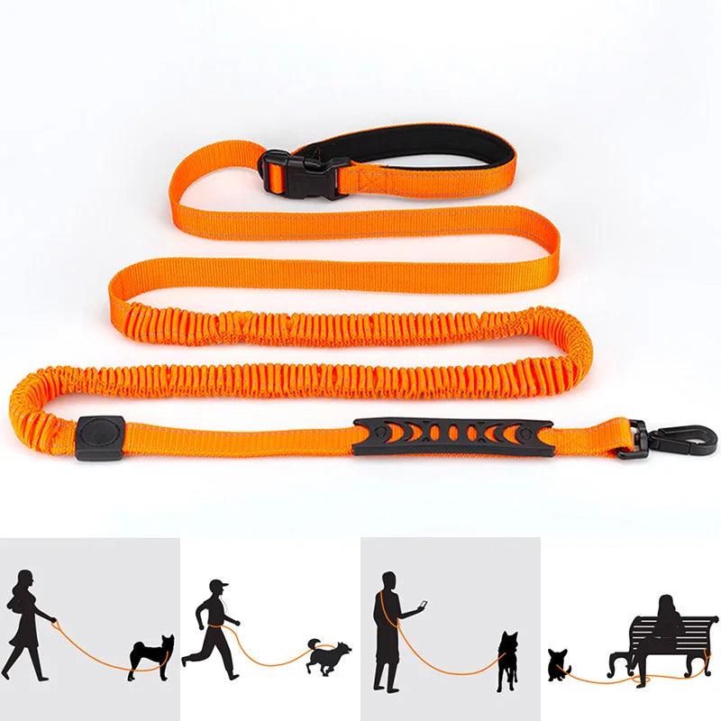 Dog Leash For Running - whiskerwonderland