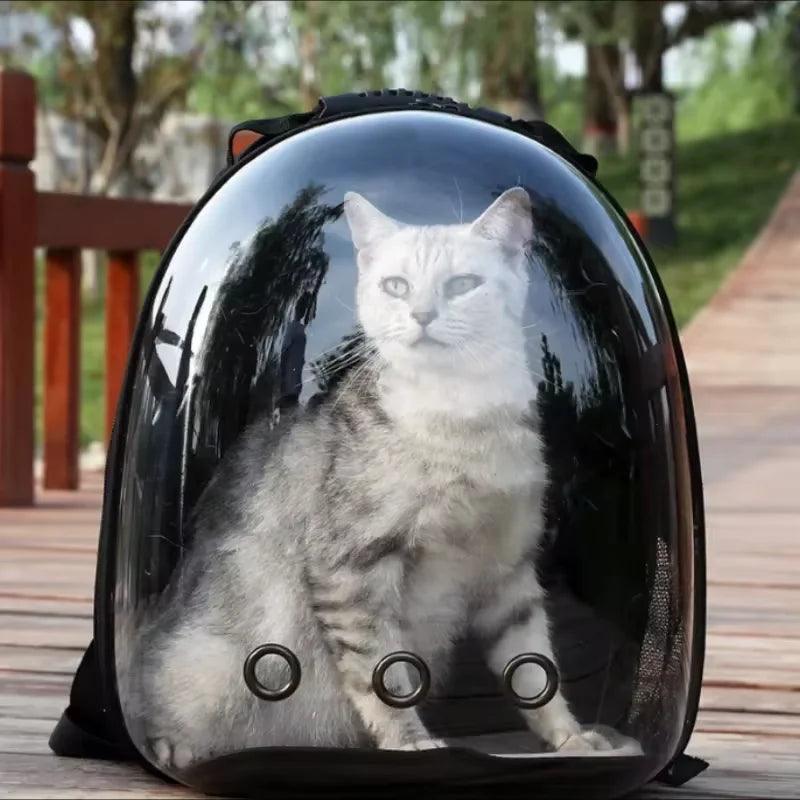 Portable Space Capsule | Travel Transparent Pet | whiskerwonderland