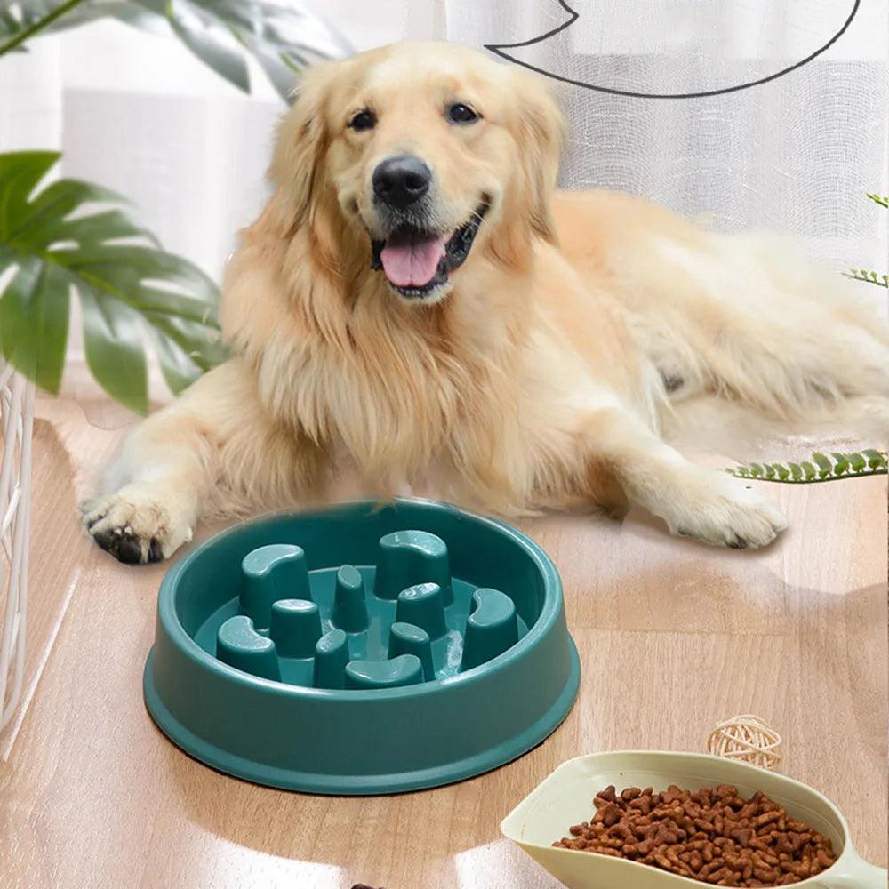 Pet Plastic Anti Choking Slow Food Bowl - whiskerwonderland