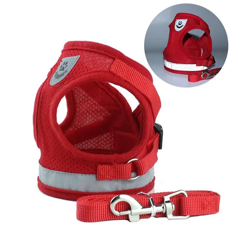 Dog Harness and Leash - whiskerwonderland