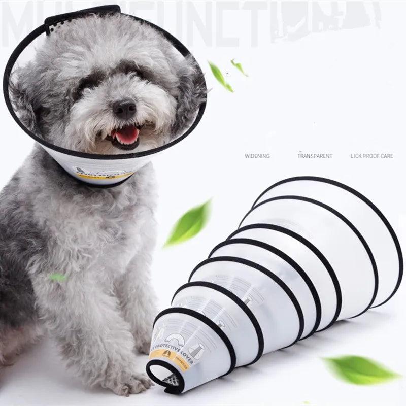 Pet Protective Collar Dog - whiskerwonderland