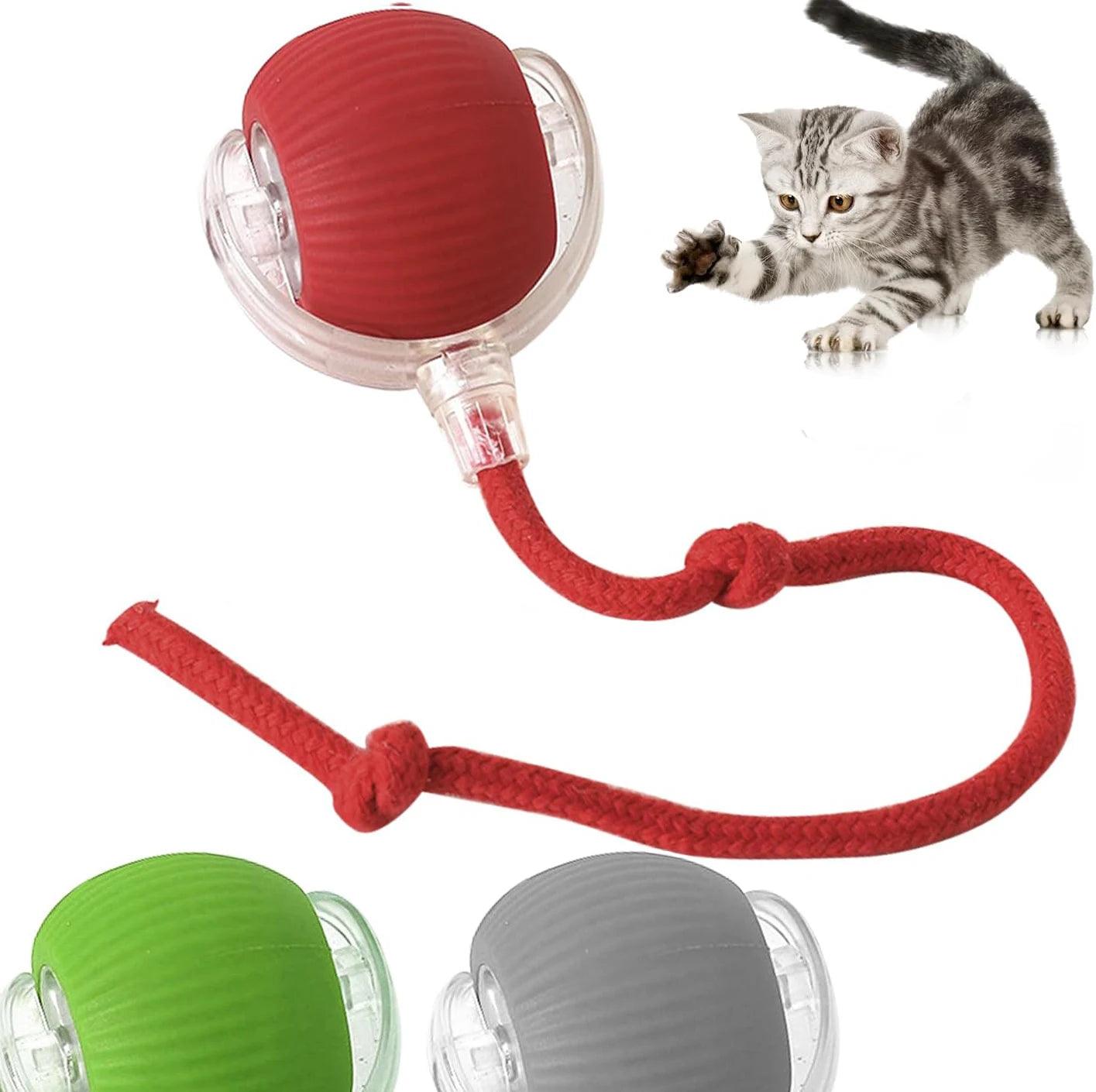 Smart Ball For Cats - whiskerwonderland