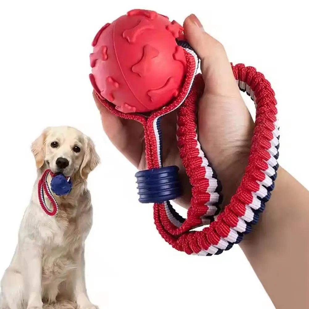 Pet Dog Toys - whiskerwonderland