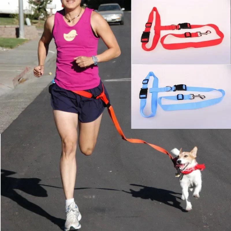 1PC Adjustable Hands Cat Dog Free Running Walking - whiskerwonderland