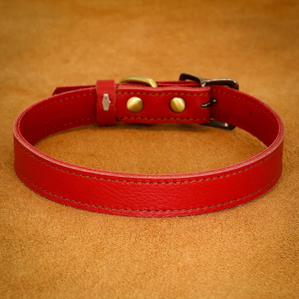 Dog Collar - whiskerwonderland