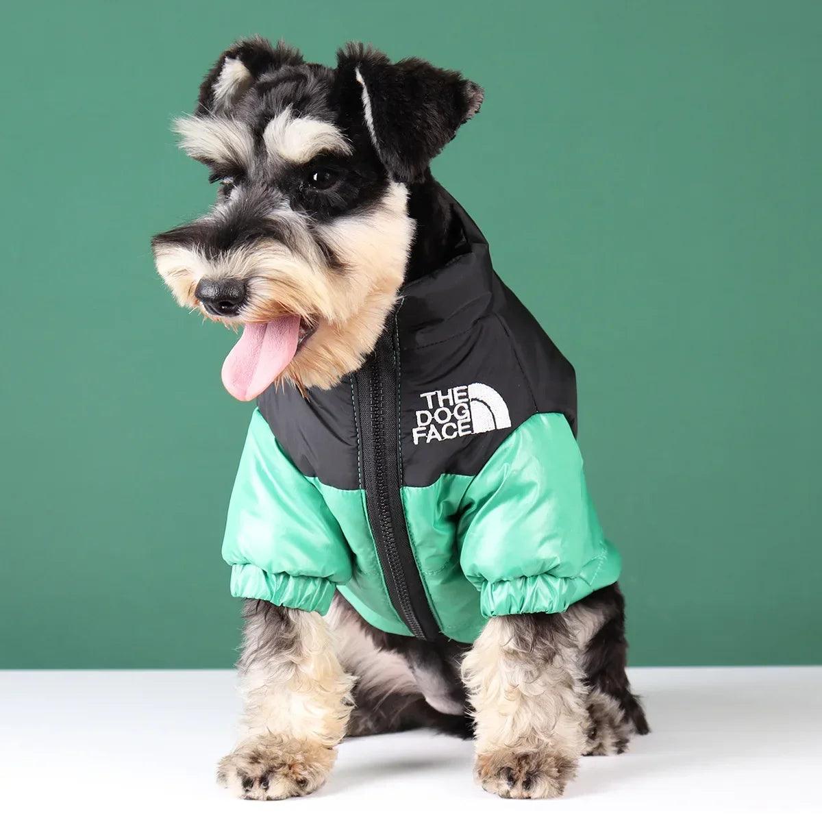 The Dog Face Winter Pet Dog Down Jacket Clothes for Small Medium Dogs - whiskerwonderland