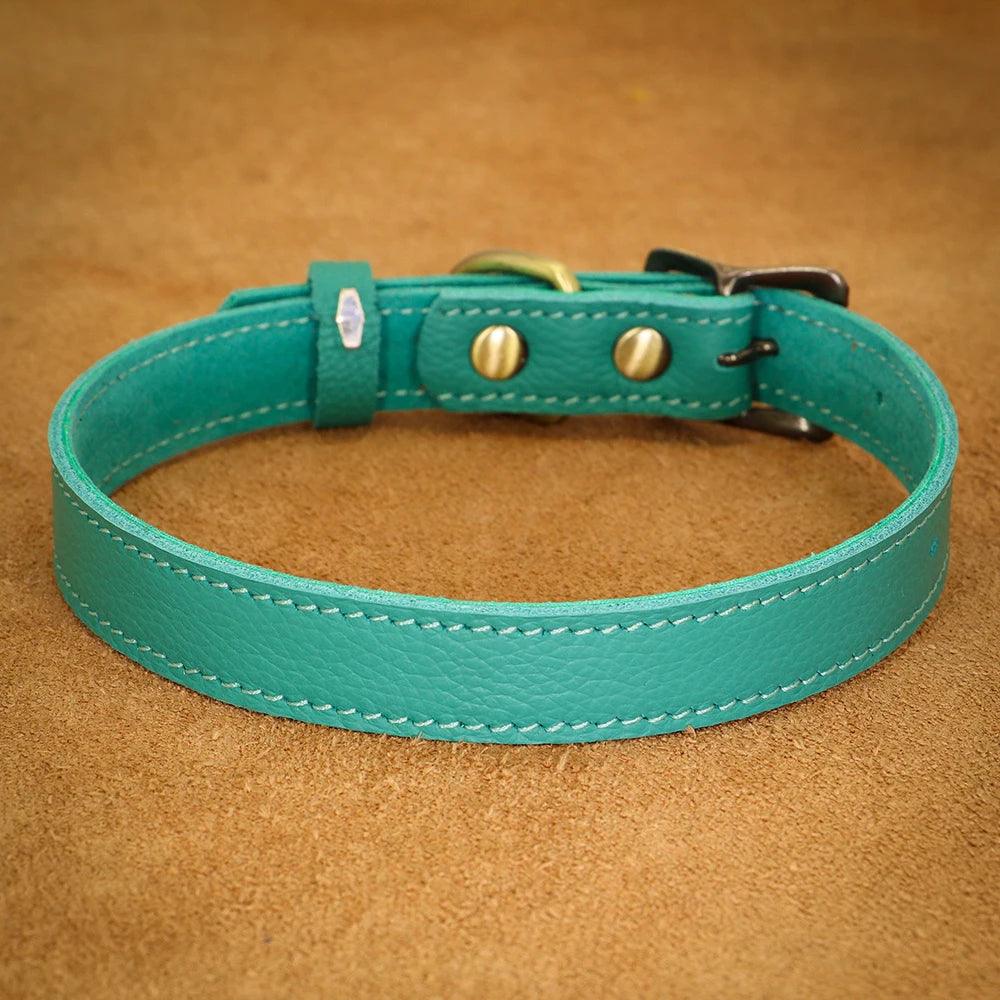 Dog Collar - whiskerwonderland