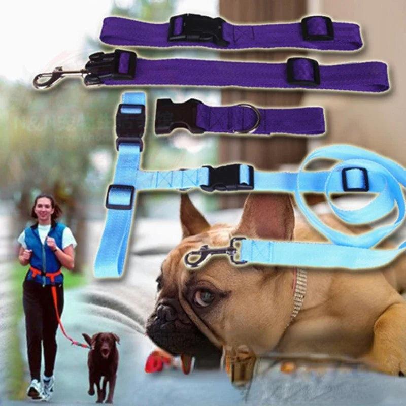 1PC Adjustable Hands Cat Dog Free Running Walking - whiskerwonderland