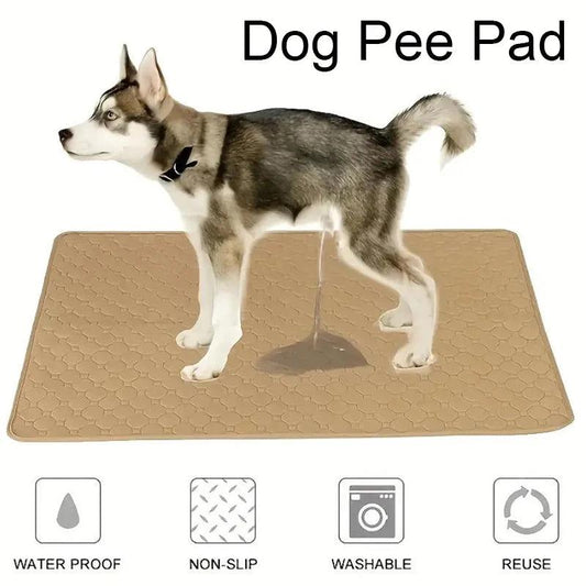 Dog Pee Pad Blanket Reusable Absorbent - whiskerwonderland