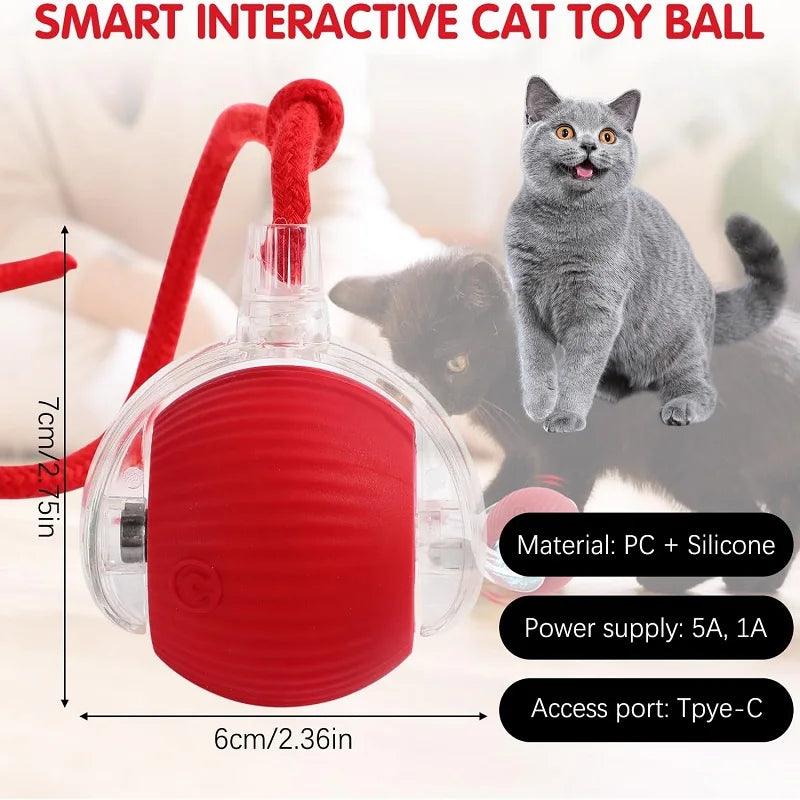 Smart Ball For Cats - whiskerwonderland