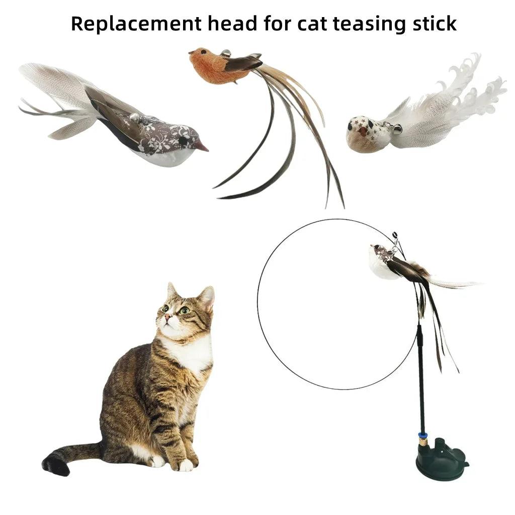 Funny Simulation Bird Interactive Cat - whiskerwonderland